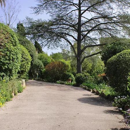 Les Beaux Jours - Vue - Piscine - Jardin - Centre Saint-Raphael (Var)